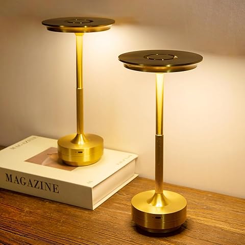 Cordless Modern Metallic Table Lamp