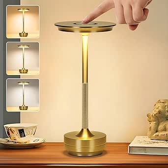 Cordless Modern Metallic Table Lamp